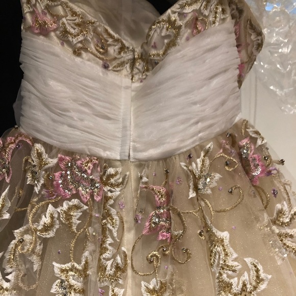 Sherri hill short, puffy beautiful dress - Picture 5 of 5